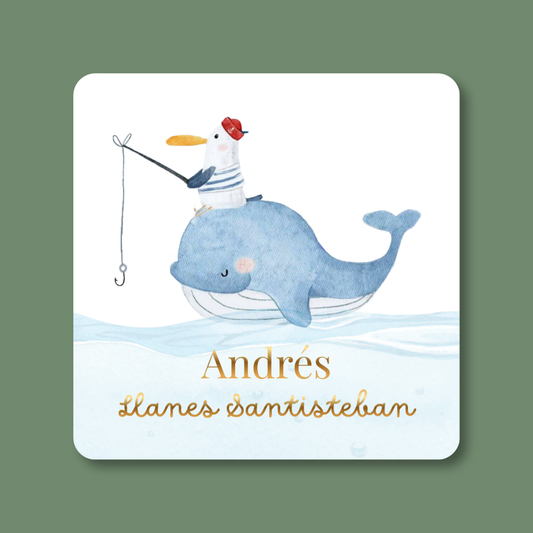 Tarjeta Ballena